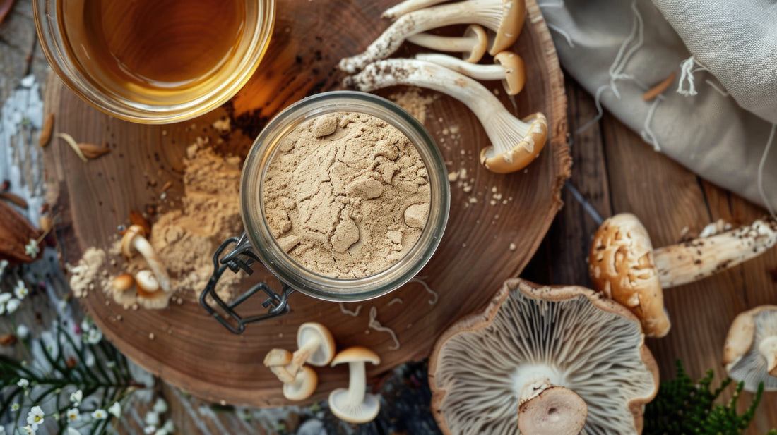 From Ancient Practices to Modern Life: Lion’s Mane Powder’s Functional Benefits