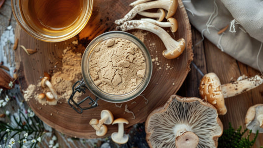 From Ancient Practices to Modern Life: Lion’s Mane Powder’s Functional Benefits