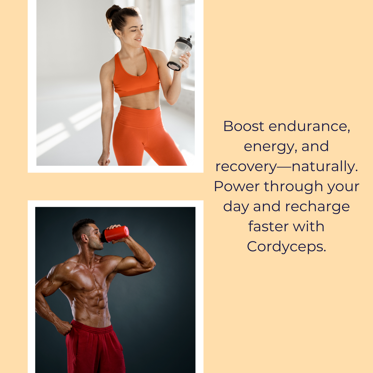 Synergy: Fórmula Orgánica de 6 hongos: Melena de León, Reishi, Cordyceps militaris, Chaga, Turkey Tail, y Maitake. Disponible en 5 tamaños: 75, 100, 125, 200 y 250 gramos. Bolsa de cáñamo incluida!