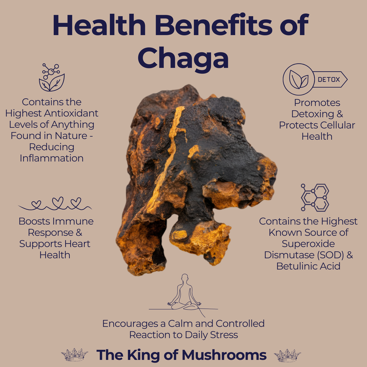 Paquete de 3: Lion's Mane "Neuro-Combustible" + Turkey Tail "Defensa" + Cordyceps militaris "Performance" - 125 gramos cada uno / 375 gramos en total. Incluye bolsa de cáñamo!