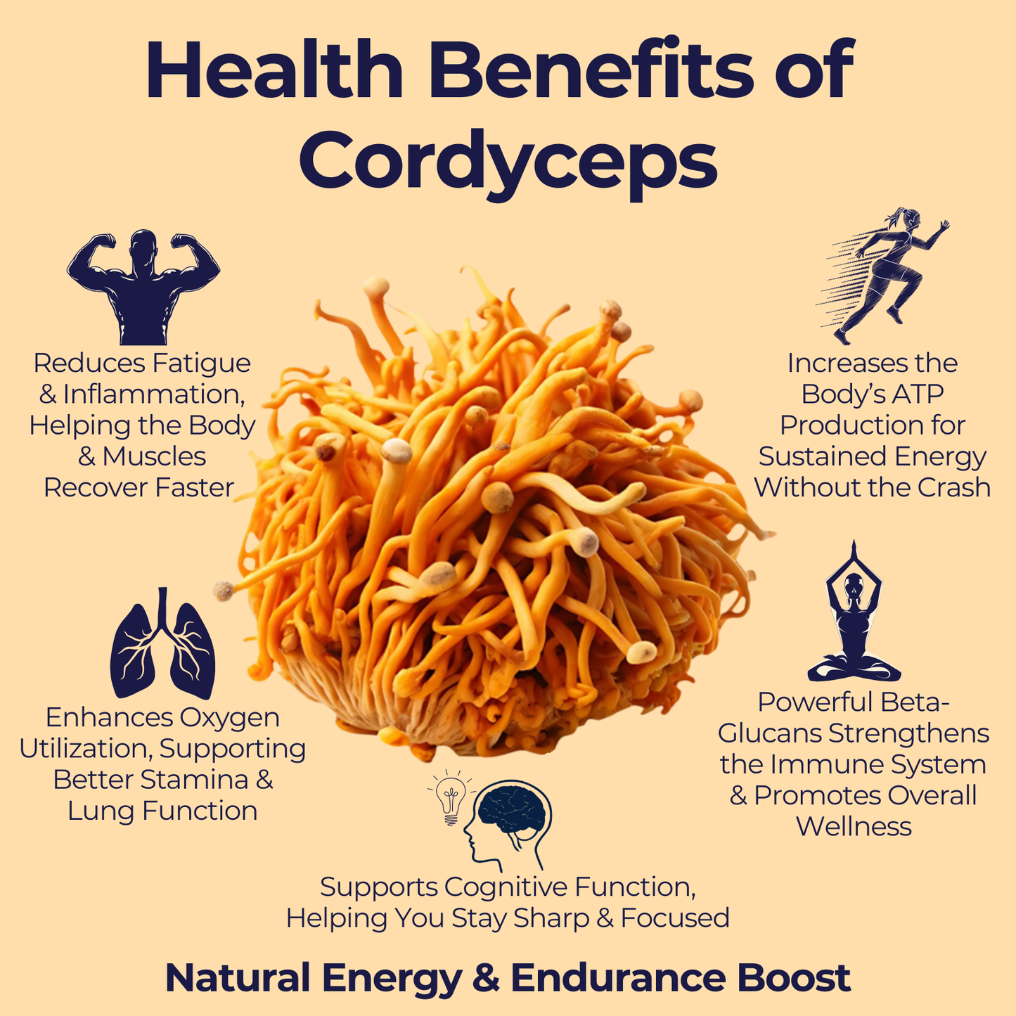 Synergy: Fórmula Orgánica de 6 hongos: Melena de León, Reishi, Cordyceps militaris, Chaga, Turkey Tail, y Maitake. Disponible en 5 tamaños: 75, 100, 125, 200 y 250 gramos. Bolsa de cáñamo incluida!