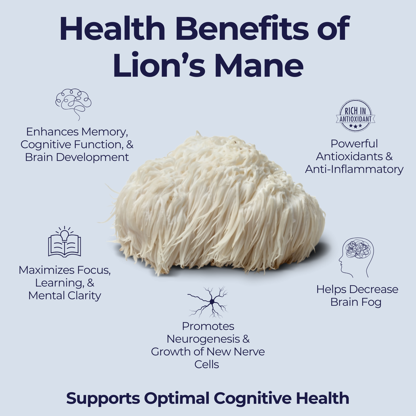 Mógū Founders Collection