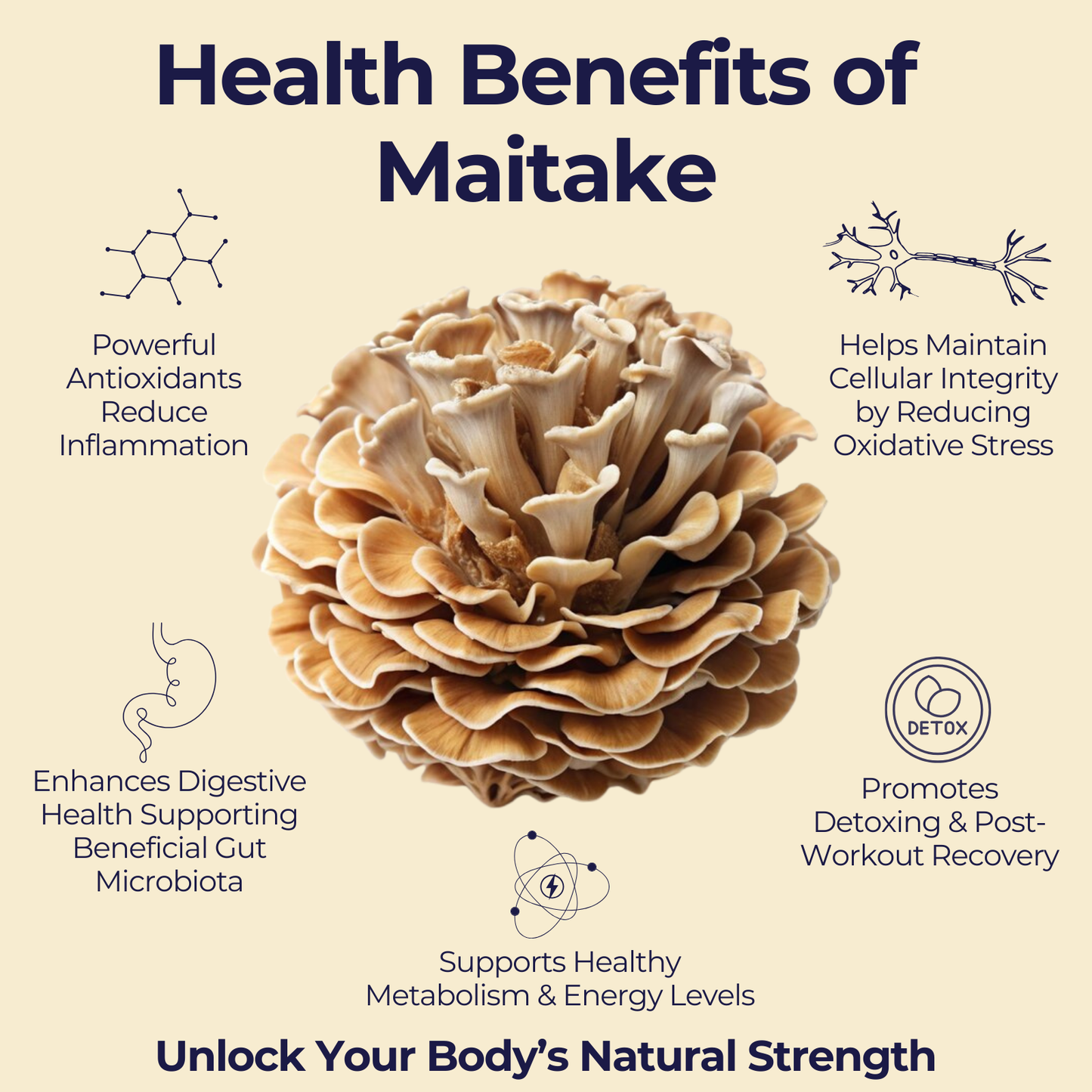 Ultimate Wellness Bundle