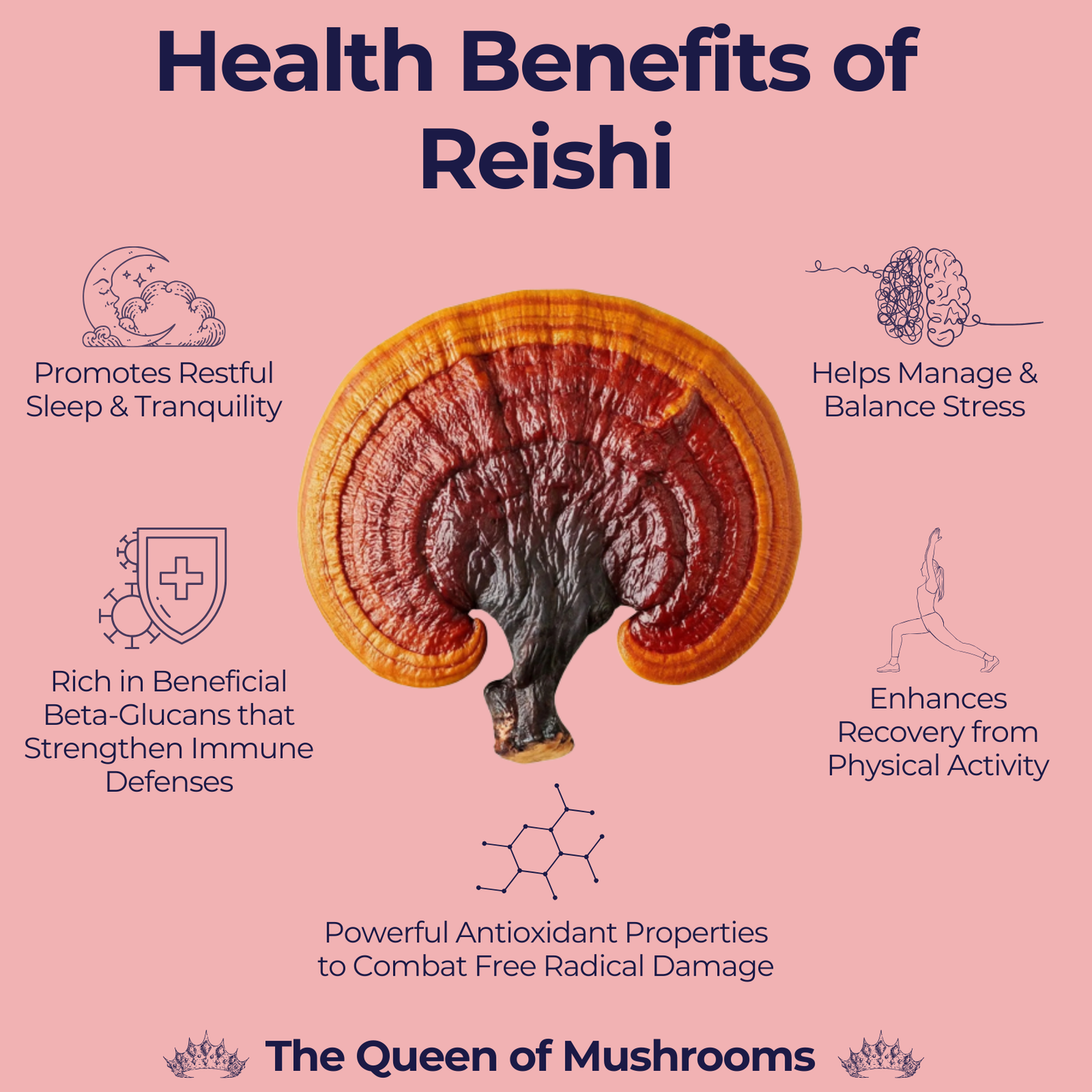 Organic Reishi