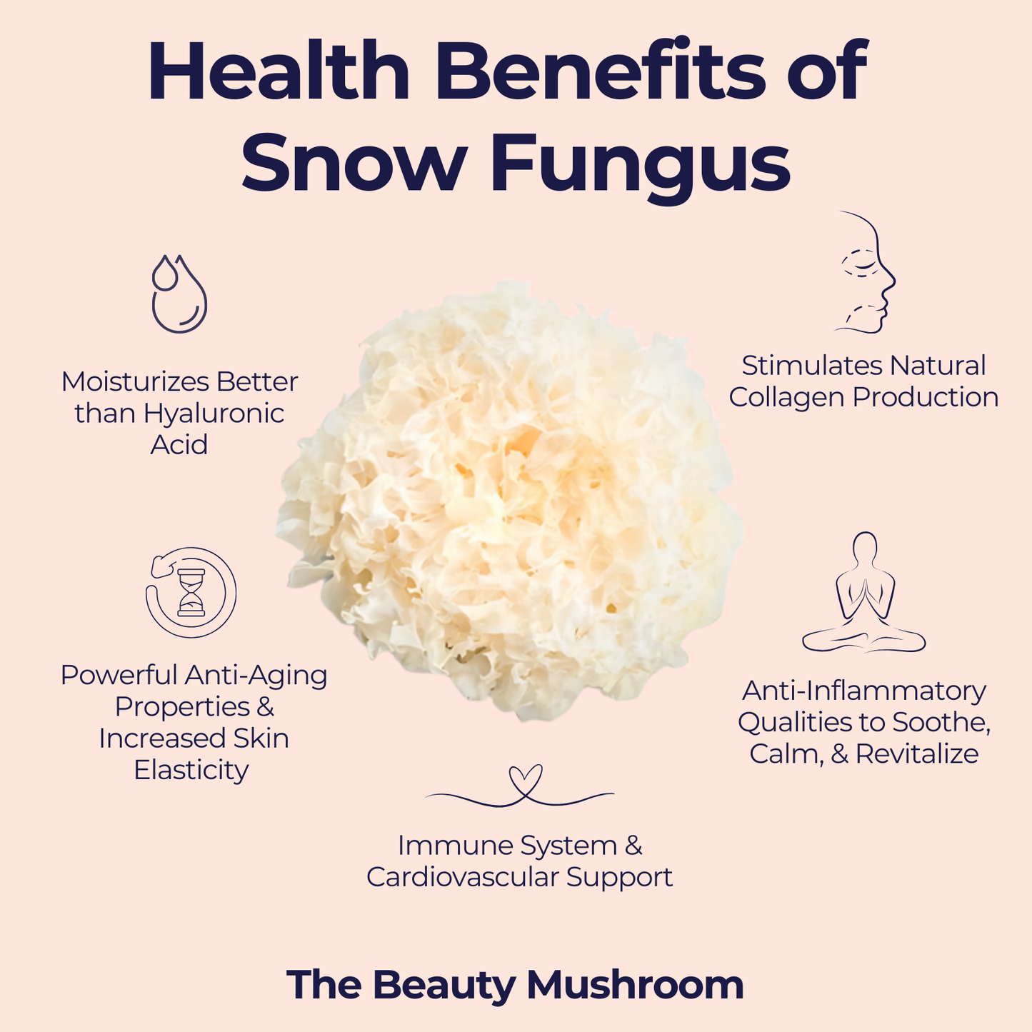 Paquete de 3: Lion's Mane "Neuro-Combustible" + Turkey Tail "Defensa" + Cordyceps militaris "Performance" - 125 gramos cada uno / 375 gramos en total. Incluye bolsa de cáñamo!