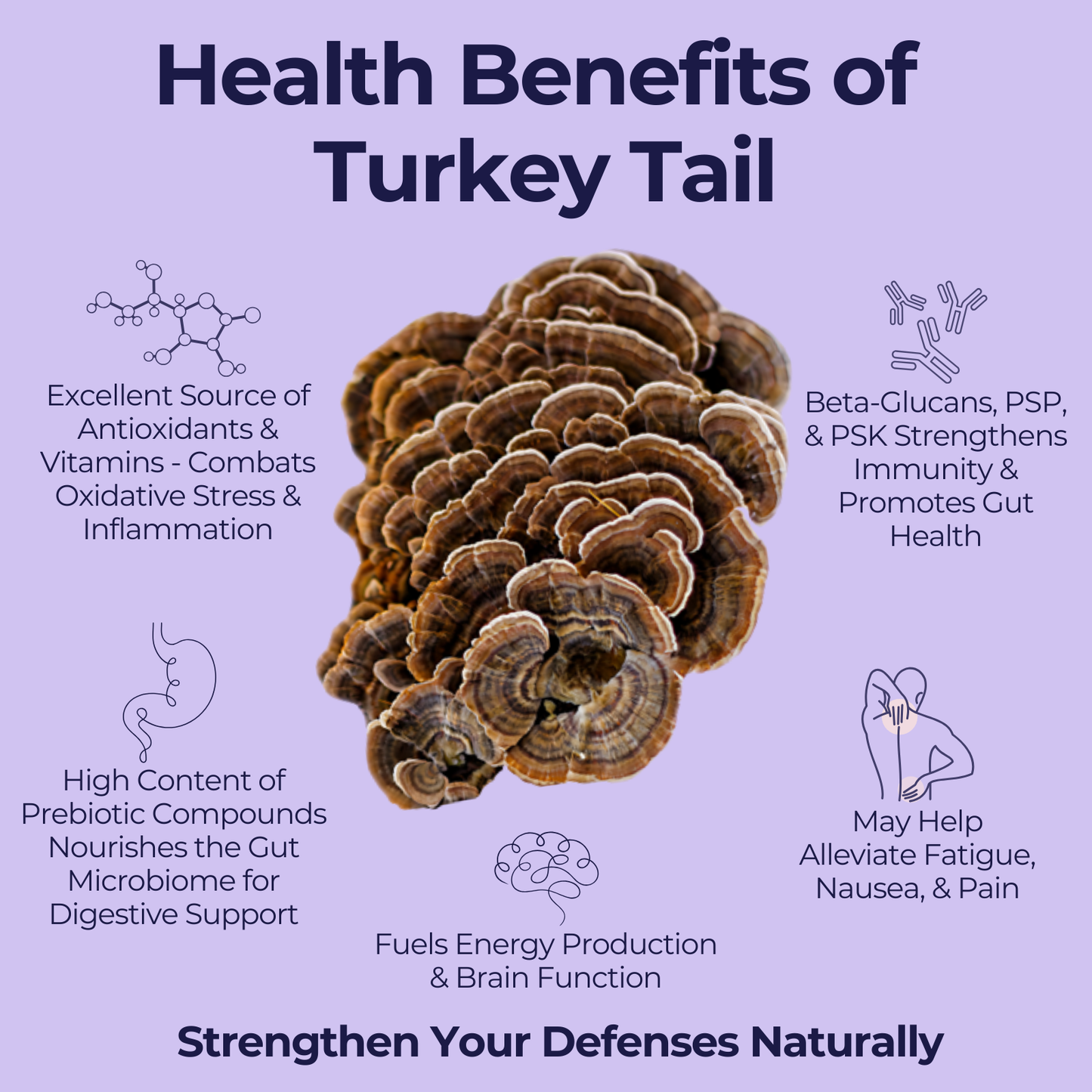 Paquete de 3: Lion's Mane "Neuro-Combustible" + Turkey Tail "Defensa" + Cordyceps militaris "Performance" - 125 gramos cada uno / 375 gramos en total. Incluye bolsa de cáñamo!