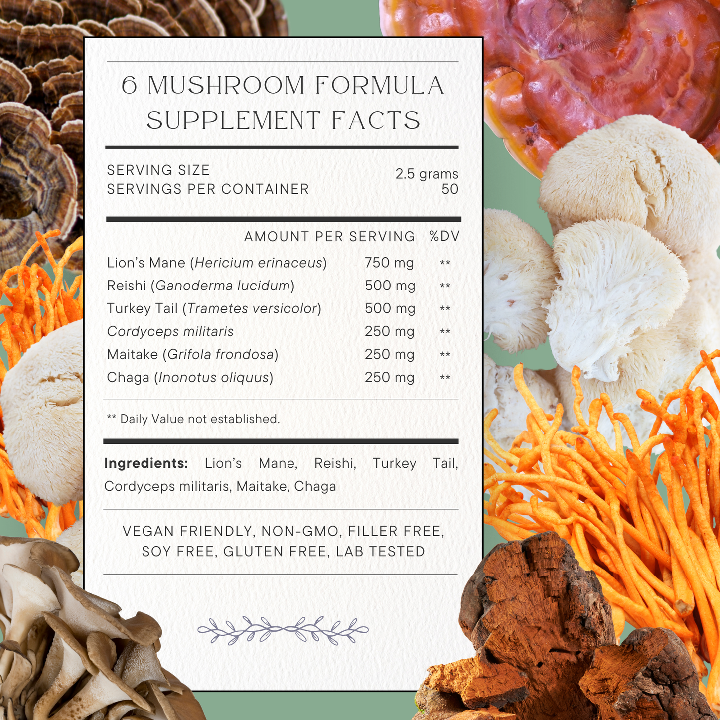Synergy: Fórmula Orgánica de 6 hongos: Melena de León, Reishi, Cordyceps militaris, Chaga, Turkey Tail, y Maitake. Disponible en 5 tamaños: 75, 100, 125, 200 y 250 gramos. Bolsa de cáñamo incluida!