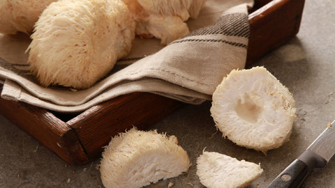 Where to buy lion's mane mushroom – Fresh lion's mane mushrooms displayed in a rustic wooden tray, highlighting their unique texture and natural appearance, ready for use in supplements or culinary dishes.