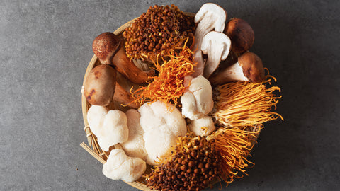 Assorted mushroom extracts including Reishi, Cordyceps, and Lion's Mane in a wooden basket on a gray stone background, showcasing the variety of health-boosting fungi.