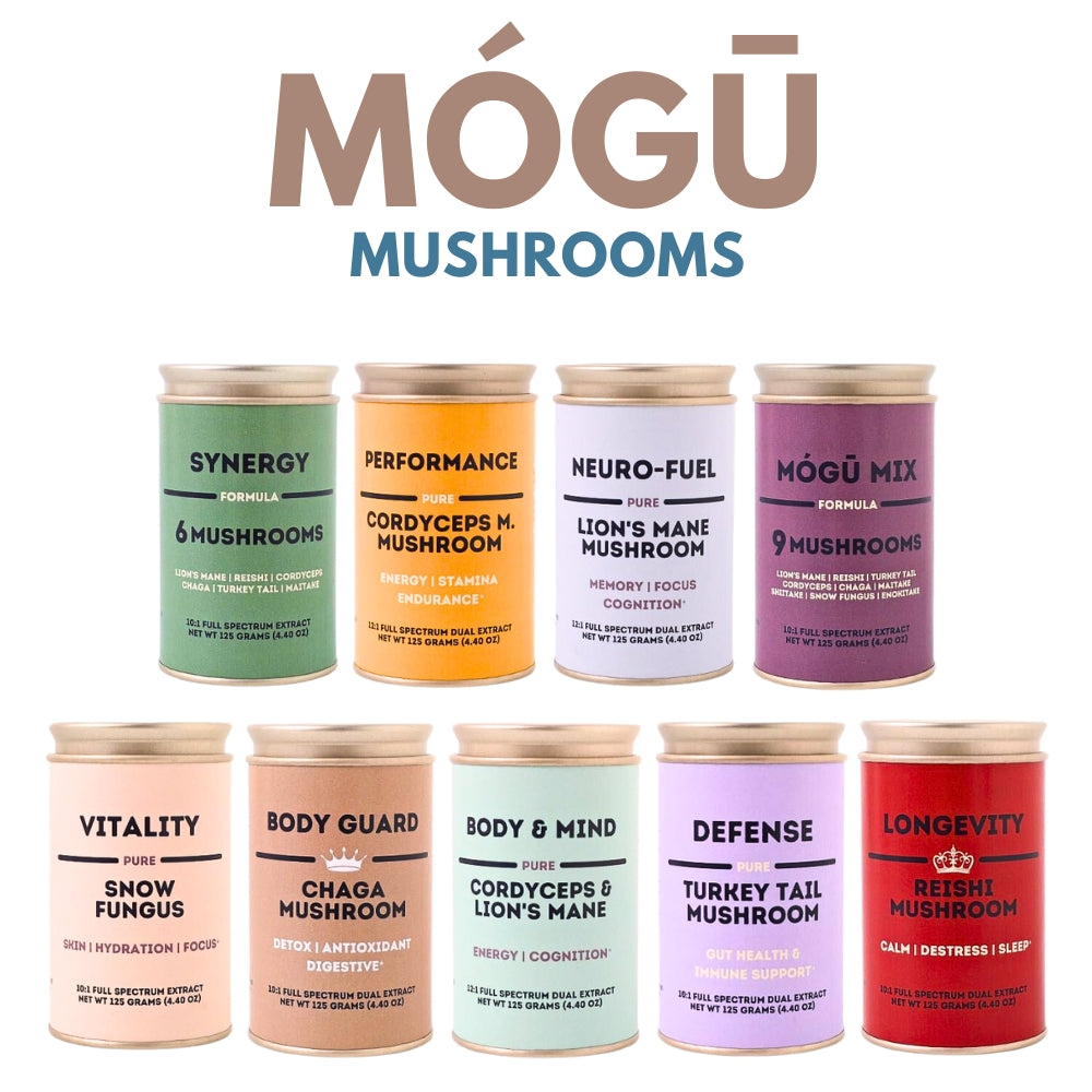 Reishi Helps Reduce Symptoms of Kidney Failure Mógū Mushrooms