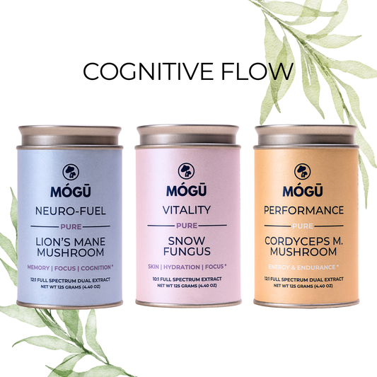 Cognitive Flow