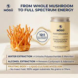 Energía - Cordyceps militaris Orgánico 12:1 Extracto Dual de Espectro Completo "Energía, Resistencia, Aguante, Actuacíon" - Disponible en 5 tamaños: 75, 100, 125, 200 y 250 gramos. Bolsa de cáñamo incluida!