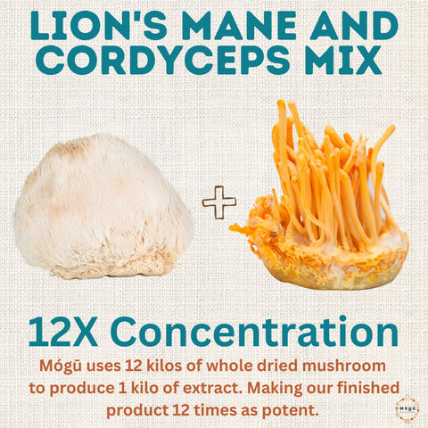 Pure Organic Lion's Mane & Cordyceps Militaris