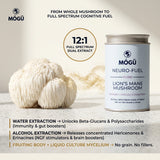 Organic Lion's Mane