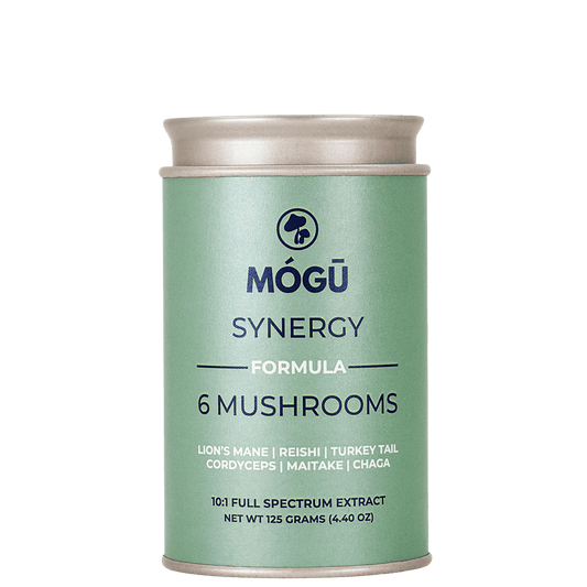 Synergy - 6 Mushrooms