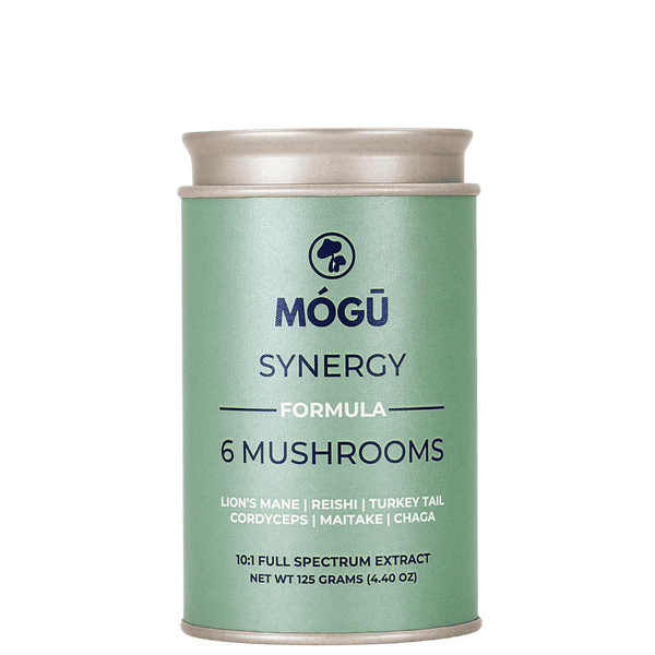 Synergy - 6 Mushrooms