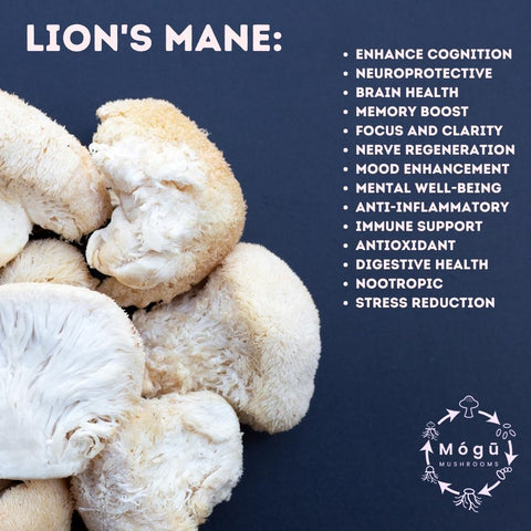 Pure Organic Lion's Mane & Cordyceps Militaris