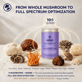 Fórmula de 9 hongos Orgánicos: Melena de león, Reishi, Cordyceps, Chaga, Cola de Pavo, Hongo de Nieve, Shiitake, Maitake y Enokitake. Disponible en 5 tamaños: 75, 100, 125, 200 y 250 gramos. Bolsa de cáñamo incluida!