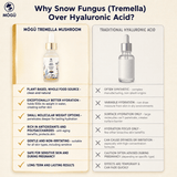 Organic Mushroom Face Serum