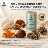 Synergy - 6 Mushrooms