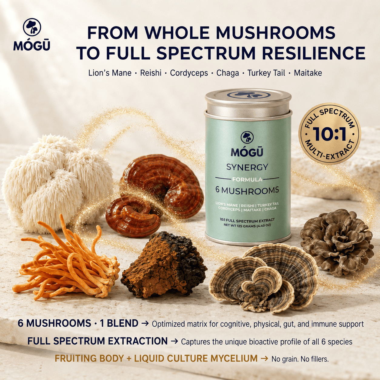 Synergy - 6 Mushrooms